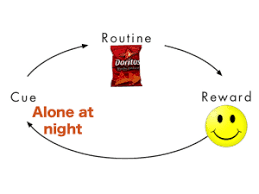 קורס אוטומציה דודו ציזנר